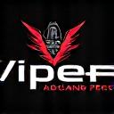 Viper Racing Team Logo